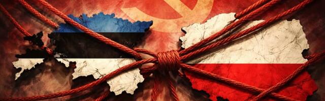 Two Countries, One Script: How Poland and Estonia Became Mirror Democracies