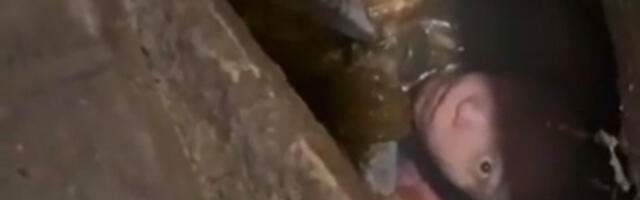 VIDEO: tüdruk kukkus avalikku tualetti NB! Nõrganärvilistele mittesoovitav