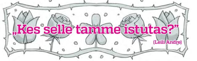 Kes selle tamme istutas: muhedad mägimännid