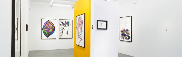 „Naiseliku kirjutuse“ proovitõmme