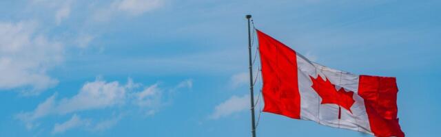 Võõrtööjõud päästab oskuste puudusest