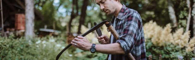 Lemmit Kaplinski: õigusriik roheutoopia tallata