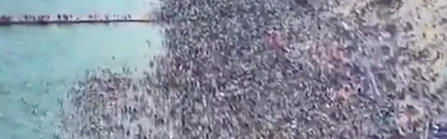 VIDEO: Hiina rand maipühade ajal