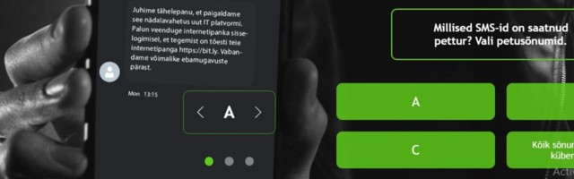 Vaid iga kümnes eestlane tunneb ära võltsitud veebilehe