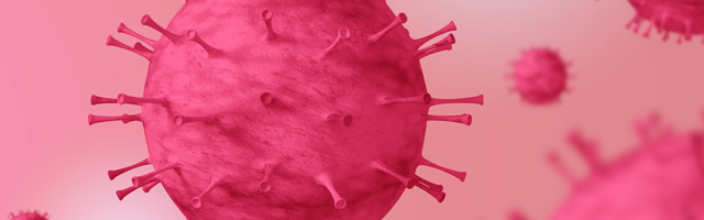 Koroonaviirus Eestis, 3. oktoober: ööpäevaga tehti 71 positiivset testi, suri veel üks inimene