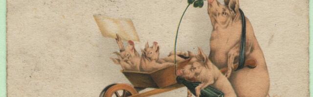 GALERII | Poolsada imelist hetke sajandivanuste jõulukaartidega alates põrsastest kuni musini