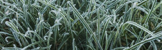 ILMATEADE | Venemaalt tungib sisse külm õhumass