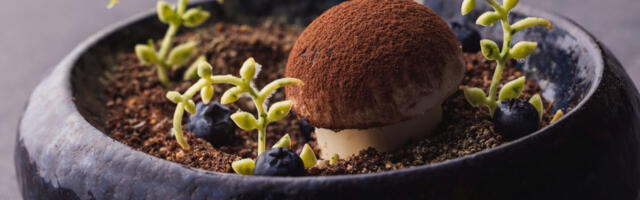 “Maitsev Tartu” pälvis Euroopa kultuuriturismi auhinnakonkursil esikoha