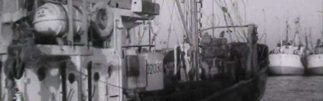 RETRO: Mati Talviku „Ajaproov“ Kirovi kolhoosist