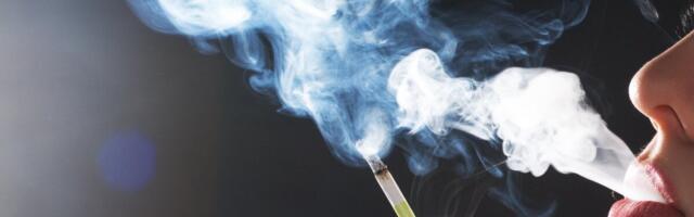 Uuring: Suitsetamise mõju immuunsüsteemile võib kesta aastaid