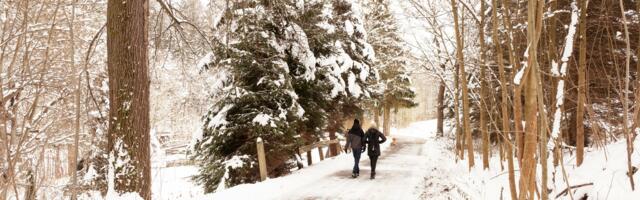 Horoskoop : milliste tähemärkide jaoks ei tule järgmine nädal kõige kergem?