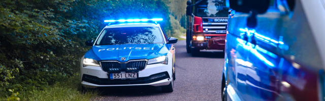 Elmar Ots: Uinutav tehnoloogia ehk kui juht ei juhi, pole kasu 2+2 teedest ega juhiabistitest