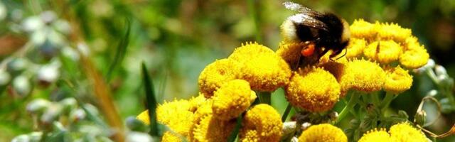 Keskerakond: põllumeeste mure on kogu Eesti mure