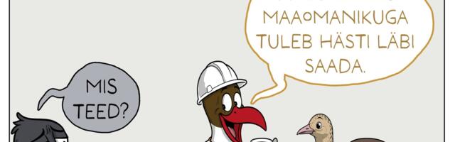 Karel Rahu: nädal pildis