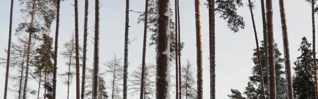 Eesti kliimaeesmärgid suurenevad oluliselt