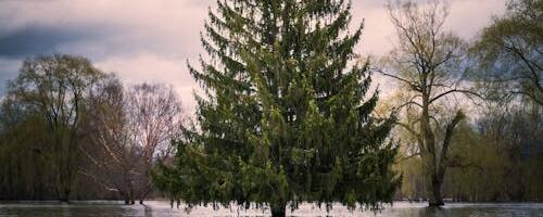 Keskkonnaagentuuril valmis satelliitandmetel põhinev üleujutuste kaugseireteenus