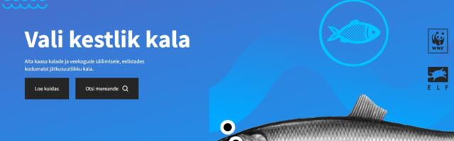 Kalafoori viis rohelist ja viis punast valikut