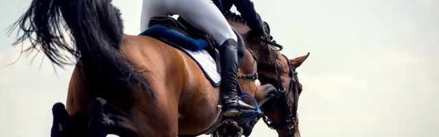 Hanno Kross: naised ja mehed ei ole võrdsed