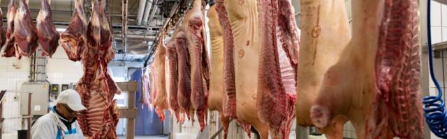 HKScanil tuli Eesti äride müügiga seoses 30 miljonit korstnasse kirjutada