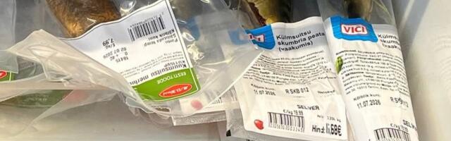Makrelli eest 20 eurot. Miks sai tavalisest kalast delikatess?