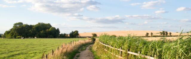 Päevahoroskoop : laupäev, 2. august