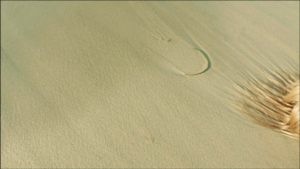 Sille Kima muusika- ja videoinstallatsioon “Nahanälg” Viljandi vanas veetornis