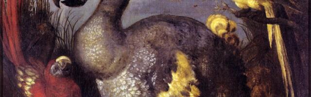 Kas Maal võiks aset leida veel üks massiline väljasuremine? Teadlased andsid vastuse hirmutavale küsimusele