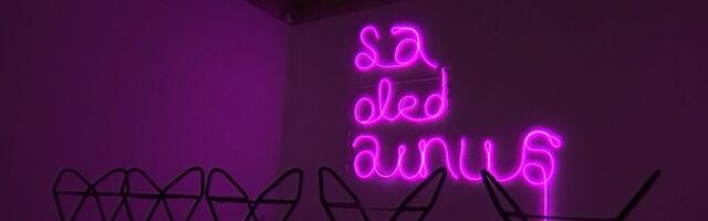 EKKM-i hooaja lõpetab noorte kunstnike ühisnäitus "Koos on soojem"