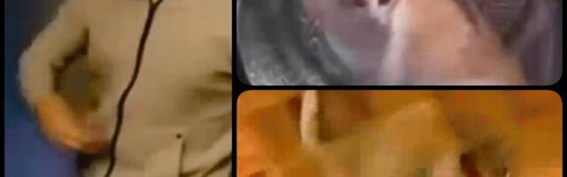 Tinejdžeri brutalno muče mačku: Stavili je u veš-mašinu, pa je uključili! Jeziv video zgrozio javnost (FOTO)