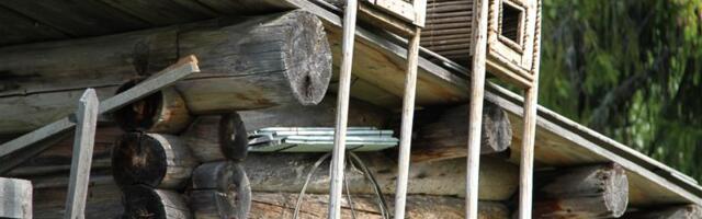 Komid ja arktiline animism