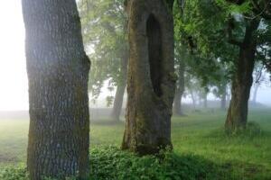 Mis juhtub pärast kriisi?