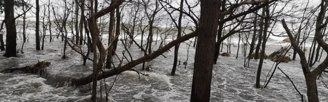 Kliimaministeerium käsitleb nüüd mitmeid Viimsi asumeid üleujutuste riskipiirkondadena