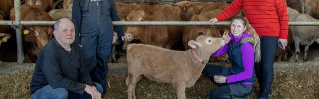 Eesti maakari on väljasuremisohus, ent laialdaseks päästeoperatsiooniks puudub raha