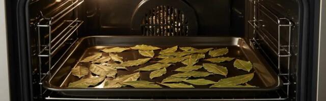 Loorberilehed ahjus, mis edasi saab, on hämmastav