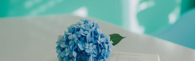 Aasta raamatukoguhoidja tunnustusüritus 27. veebruaril 2026