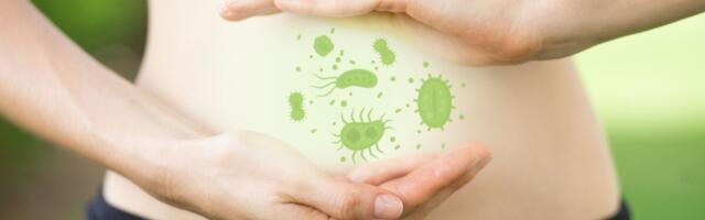 Soole mikrobioota düsbioos ja IBS