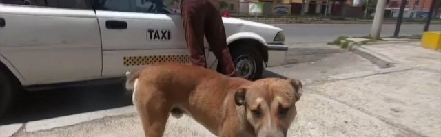 Reporter: Tänavakrantsist sai taksojuhi «kaaspiloot»