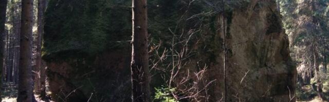 Rohuneeme tipus asub Eesti üks suurimaid rändrahne