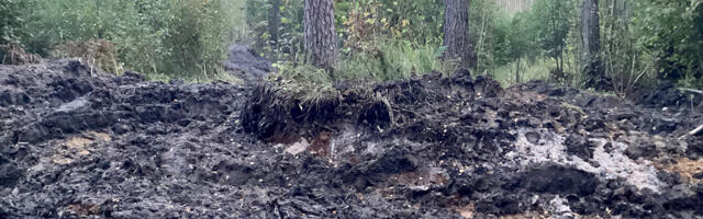 Kas kaitsealuse liigi elupaik ei olegi täielikult kaitstud?