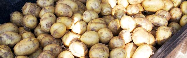 TURUKOMMENTAAR | Talvevarude soetamine pole eestlaste seas enam moes