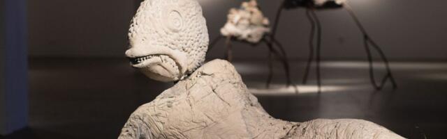 REPORTAAŽ REYKJAVÍKIST | Sellist asja sageli ei juhtu. Eesti kuraatorid korraldasid seekordse Islandi suurima kunstifestivali