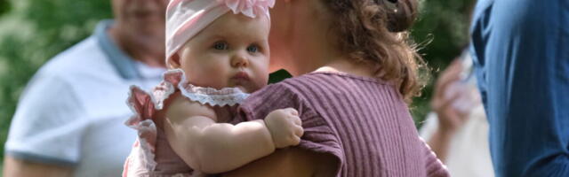 GALERII | Lusikapidu