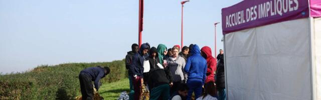 Liberaalid ja vasakpoolsed ei hakka kunagi illegaalset ja massirännet pidurdama