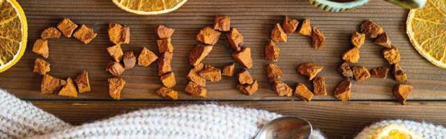 Chaga – vääriline vastane viirustele