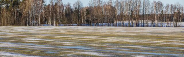 Brit Padjus: maa hinna kolmekordne kasv paneb põllumehe valikute ette