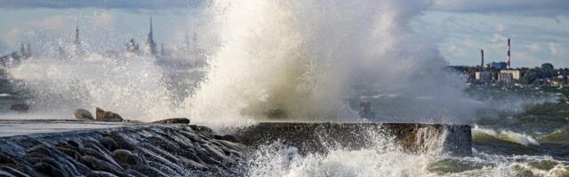 ILMATEADE | Tuul tõuseb tugevaks, hoiatuse on saanud kõik maakonnad