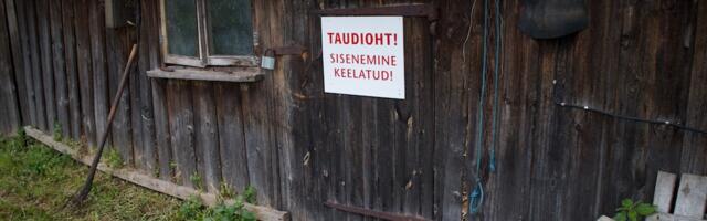 Põllumajandus- ja Toiduamet lõpetab loomataudi hädaolukorra