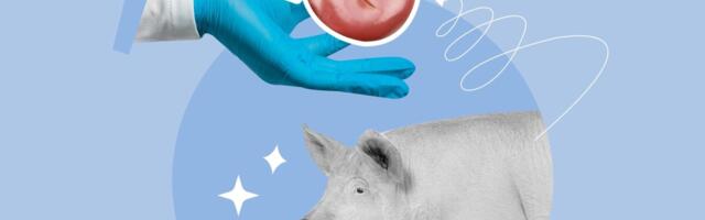 Mehelt eemaldati sea neer pärast rekordilist 271 päeva tema kehas olekut