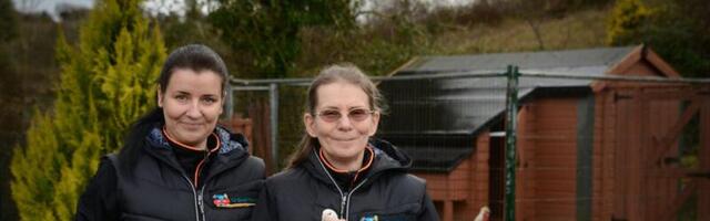 Eestlased panid Iiri mägedes püsti ootamatu äri