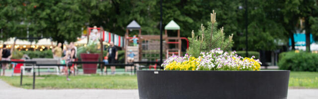 Paranenud õhukvaliteet hoiab Põhja-Euroopas ära sadu surmi